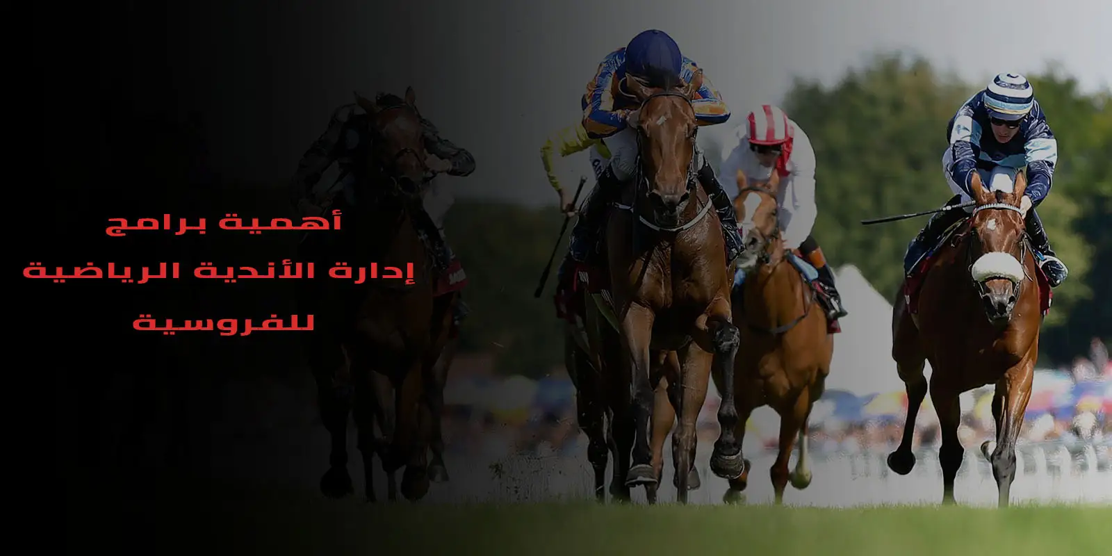 برنامج إدارة نادي فروسيه ٢ 