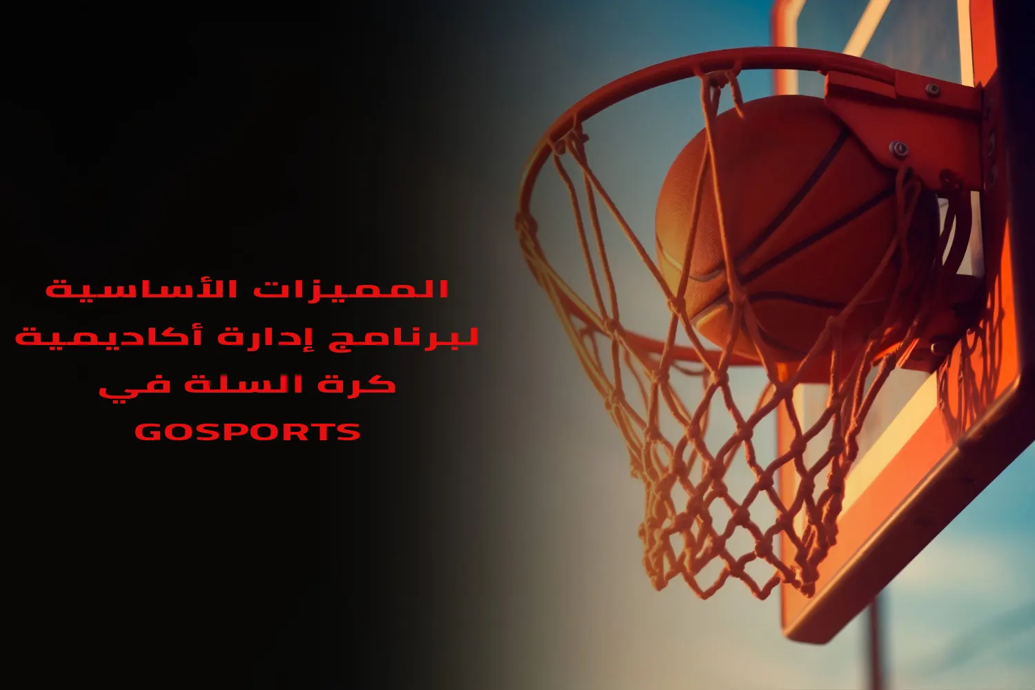 almmyzat alasasyt lbrnamj adart akadymyt krt alslt fy GoSports